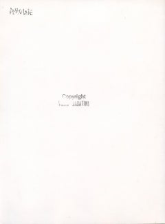 Portrait of Bruce Springsteen by Neal Preston - Vintage B/w Photo - 1985