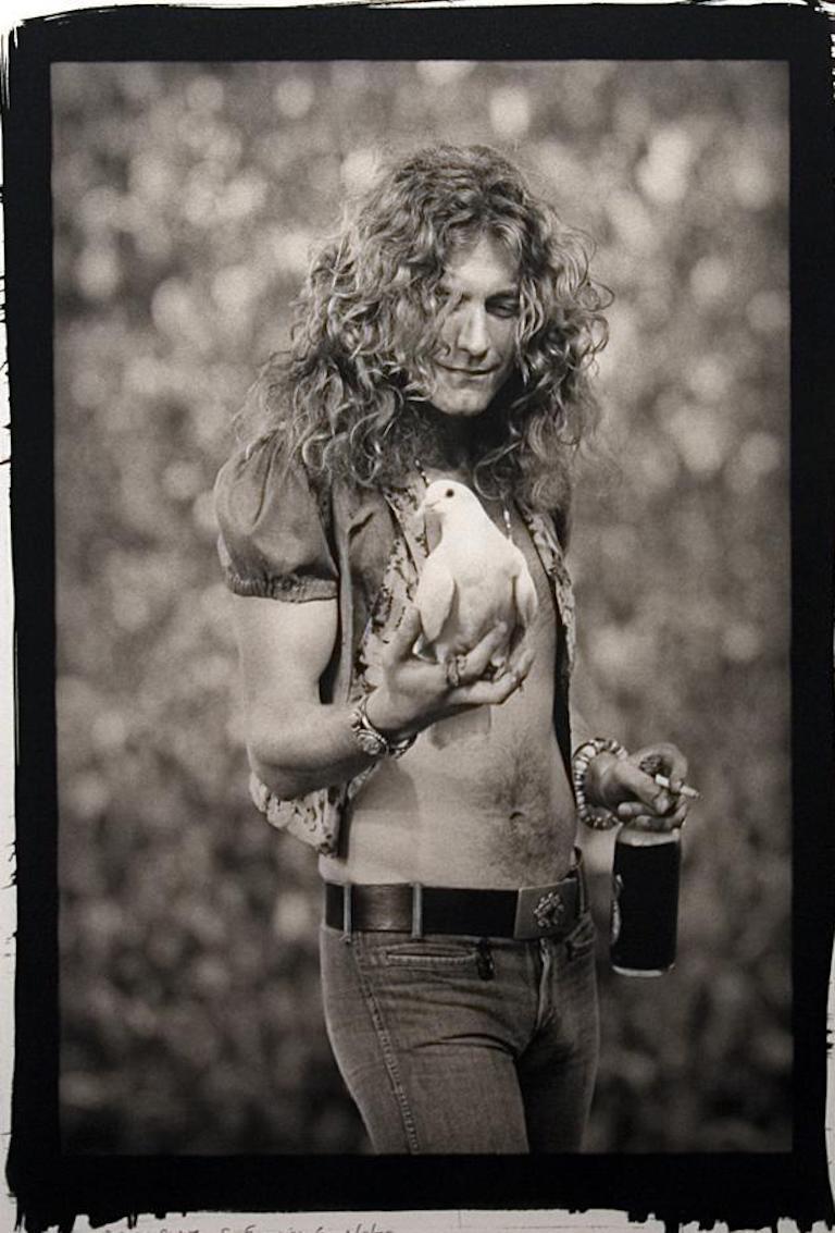 Robert Plant "Dove"-Platinum Photograph
