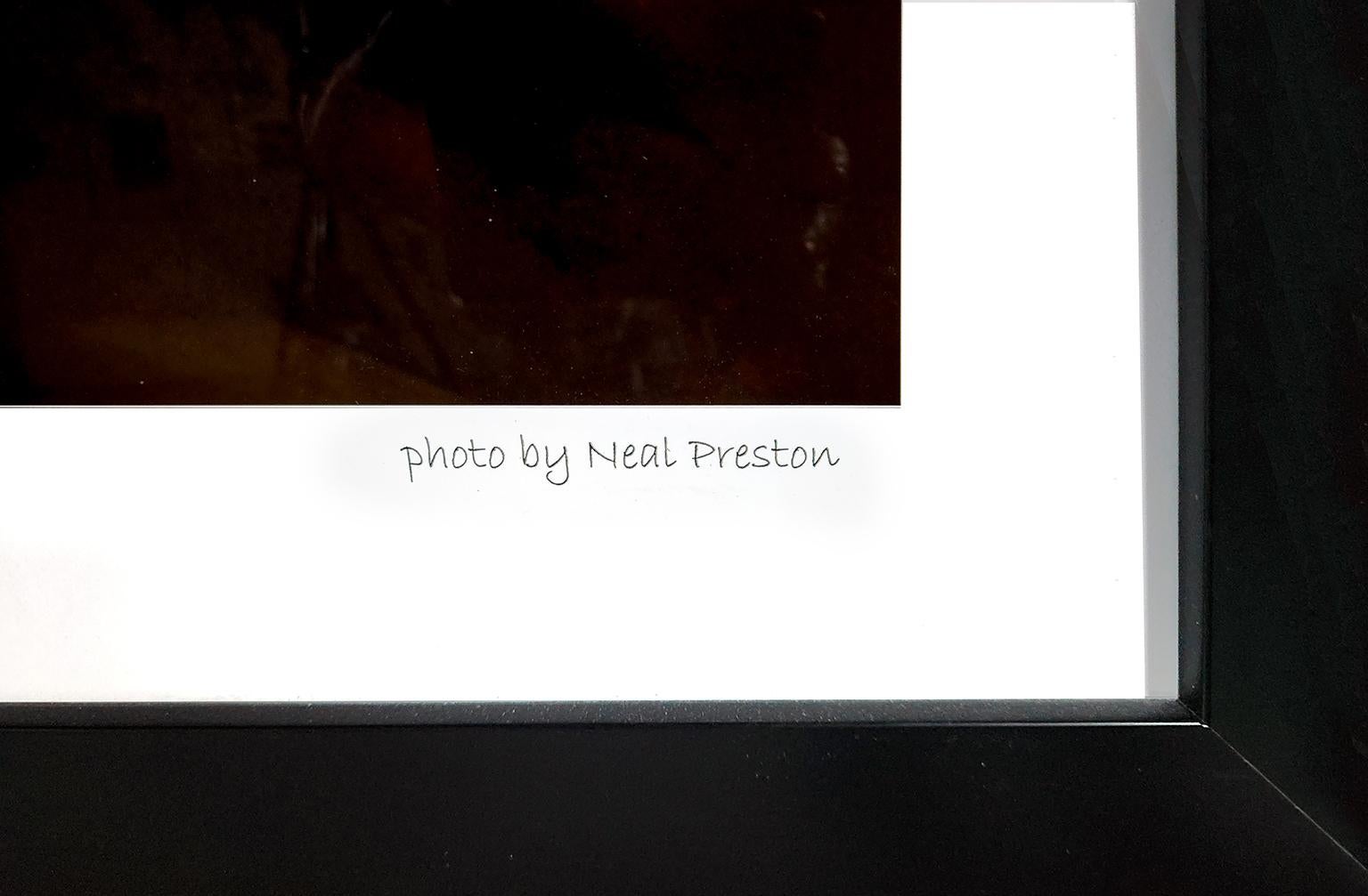 Photographie encadrée « Steve Nicks » de Neal Preston provenant de l'hôtel Hard Rock et du Casino en vente 2