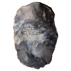 Core de Neanderthal du nord de la France préhistorique