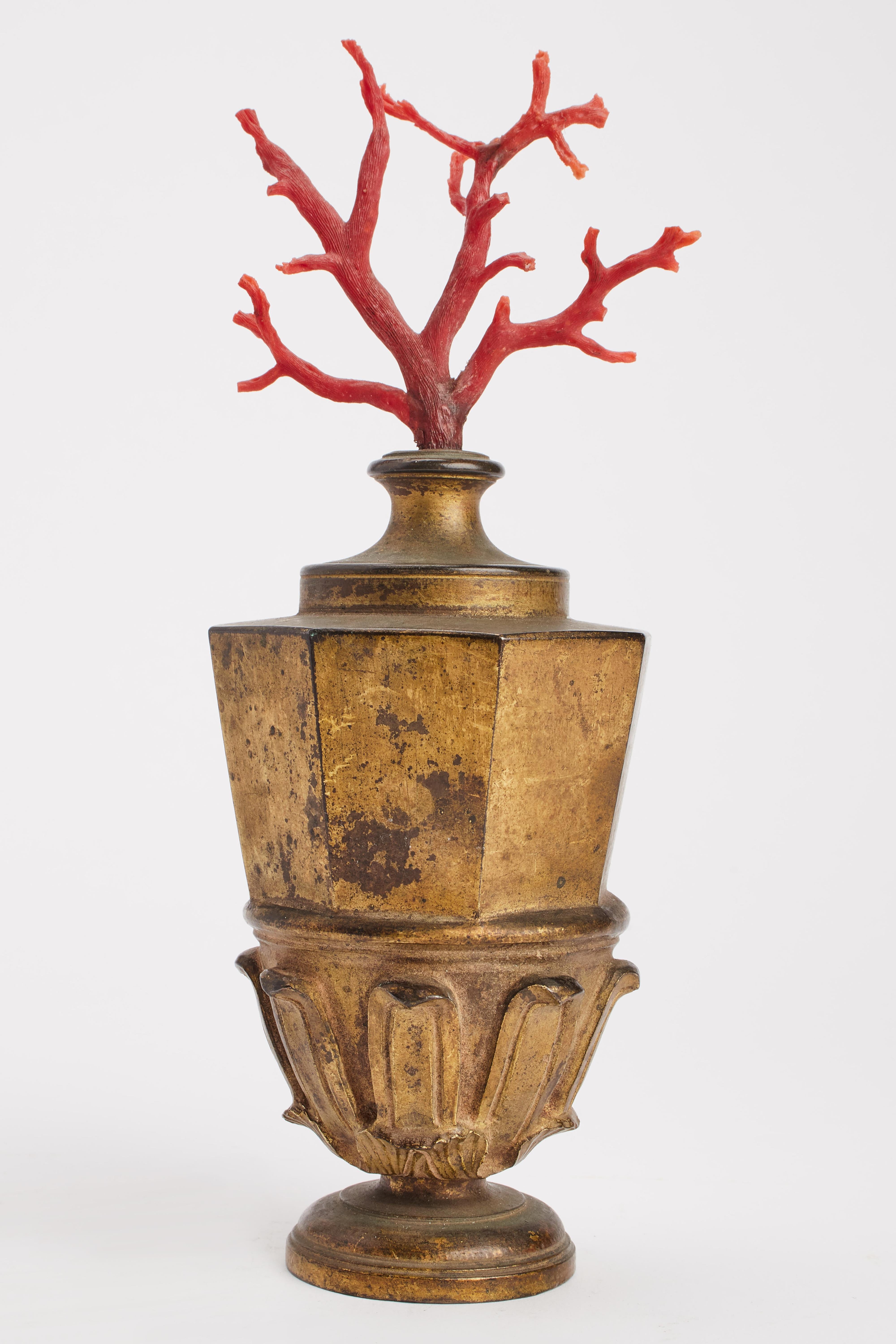 A Wunderkammer pair of Mediterranean coral branches mounted on a golden bronze bases. Neaples, Italy, mid-19th century.