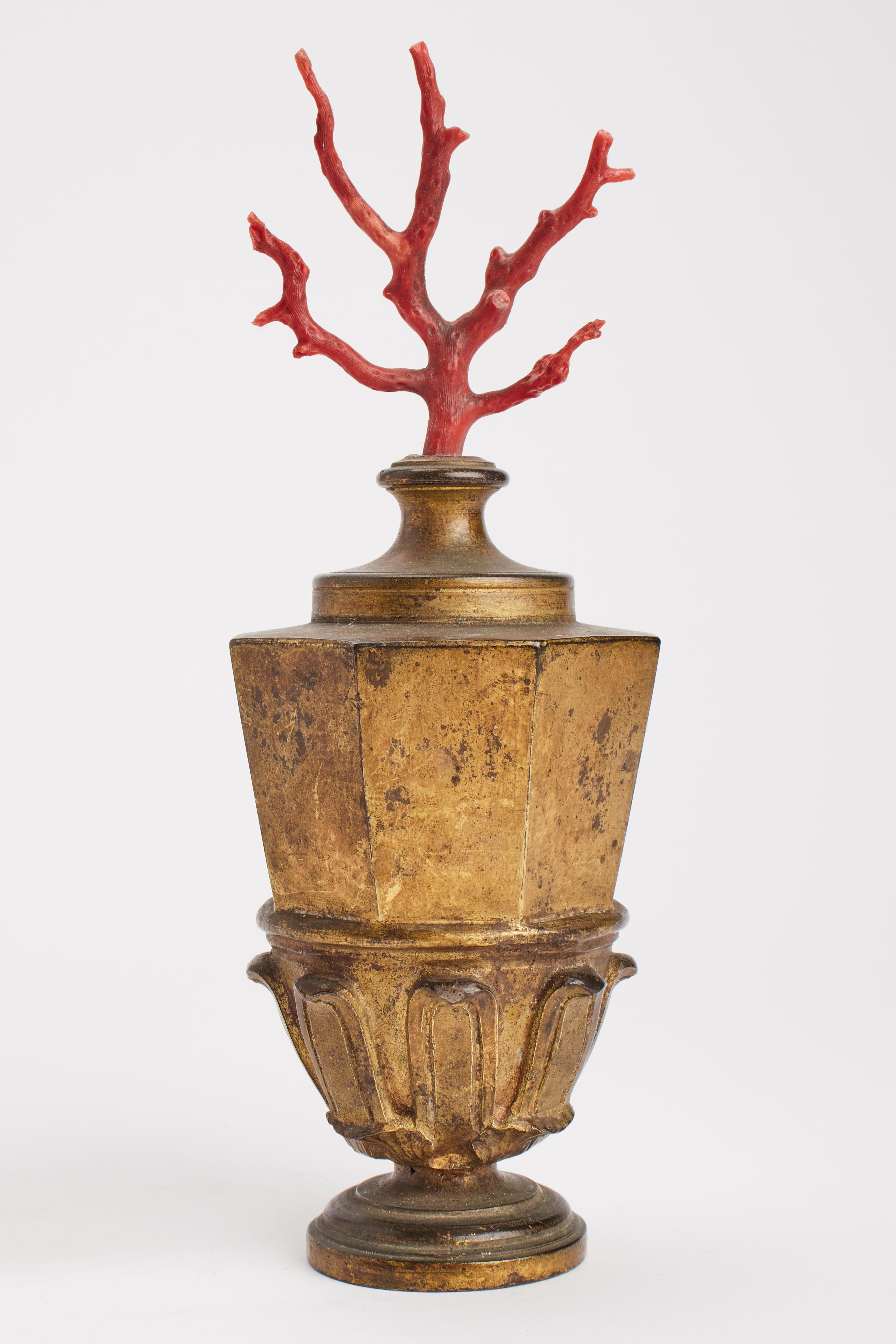 Italian Neaples, Mid-19th Century Pair of Mediterranean Coral Branches