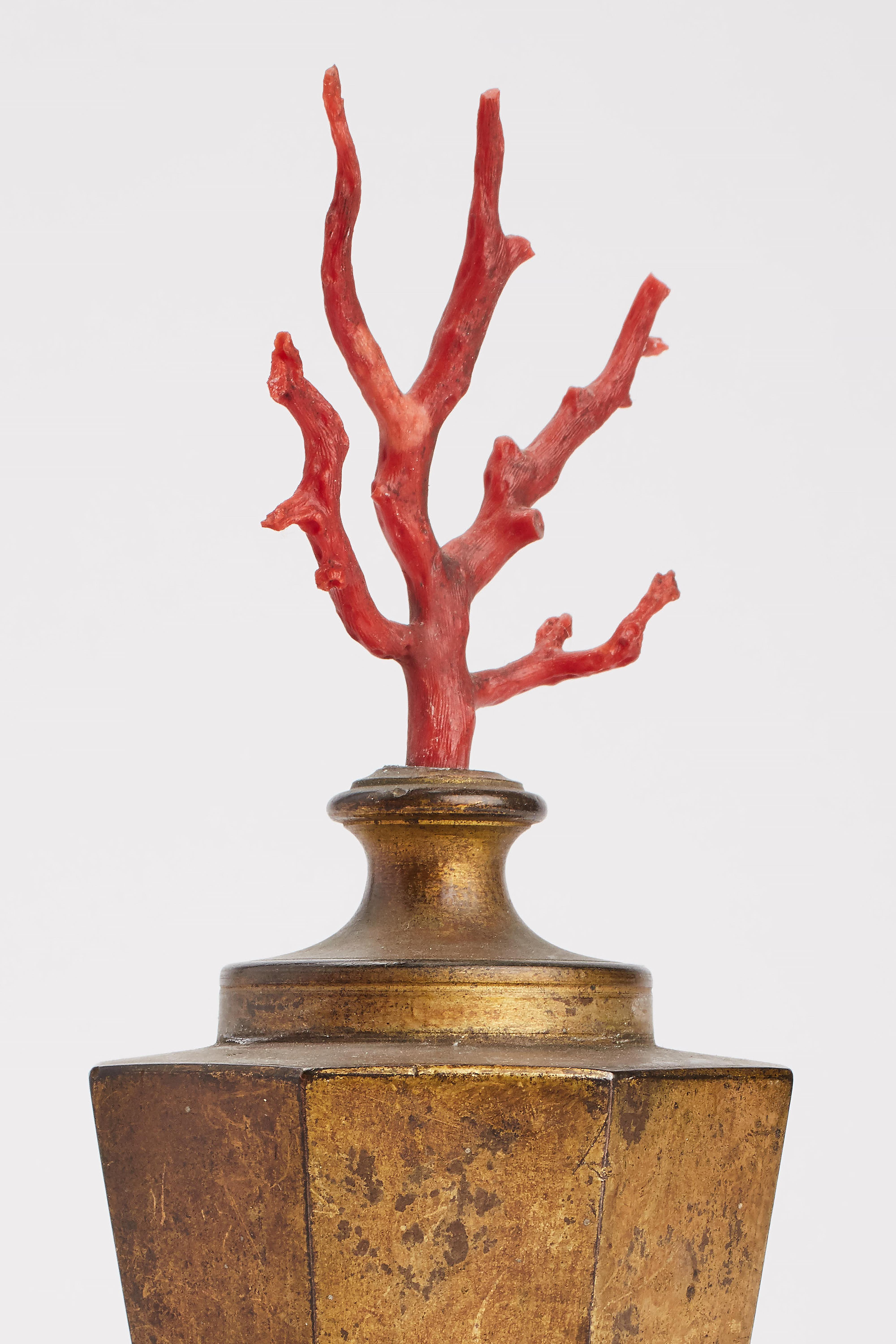 Neaples, Mid-19th Century Pair of Mediterranean Coral Branches In Excellent Condition In Milan, IT