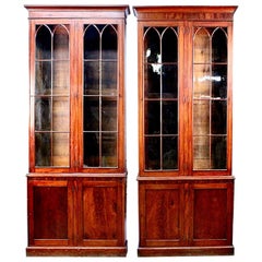 Antique Near Pair of 9' Georgian Style Mütter Museum Mahogany Library Display Cabinets