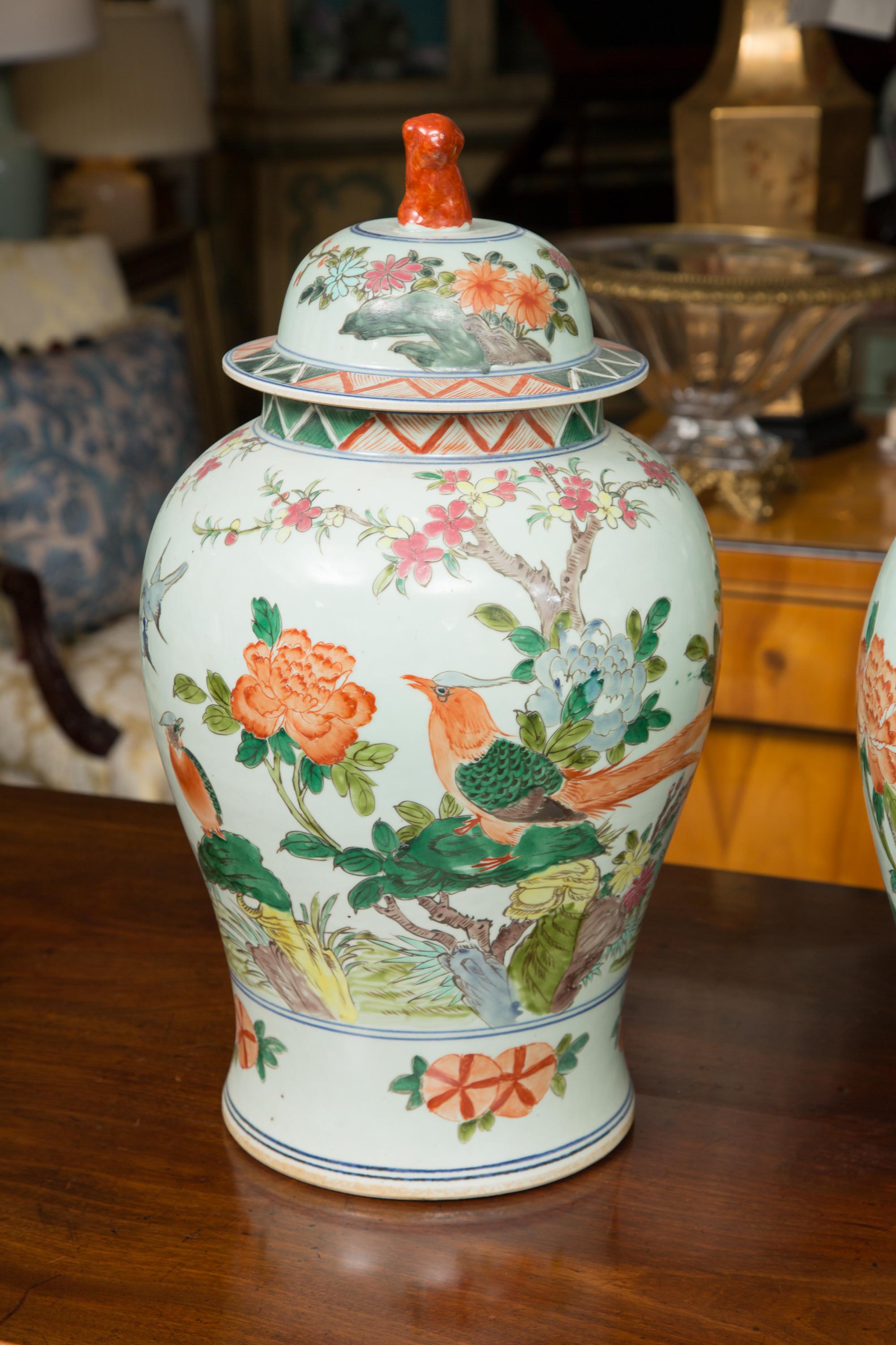 These are a pleasant near pair of celadon lidded urns with a Classic scene of birds and flowers. The deep green, yellow and tangerine colors all blend for a sophisticated home accent, 20th century.