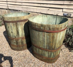 Near Pair of Enormous Alsatian Master Grape Buckets in Green Wash