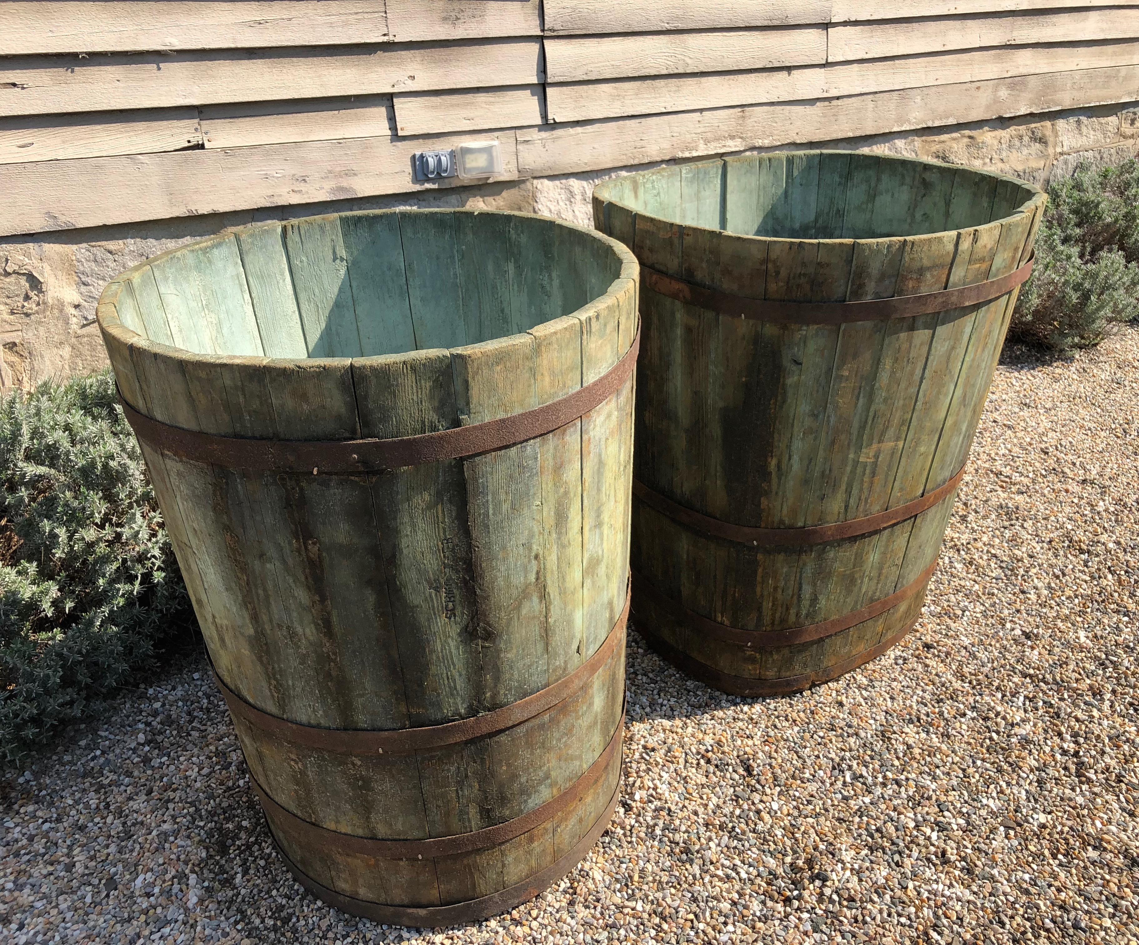 French Near Pair of Enormous Alsatian Master Grape Buckets in Green Wash