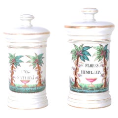 Antique Near Pair of French Porcelain Apothecary Lidded Jars