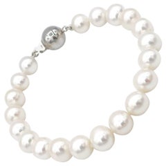 8-9mm Near Round Akoya-like Freshwater Pearl Bracelet with Silver Clasp