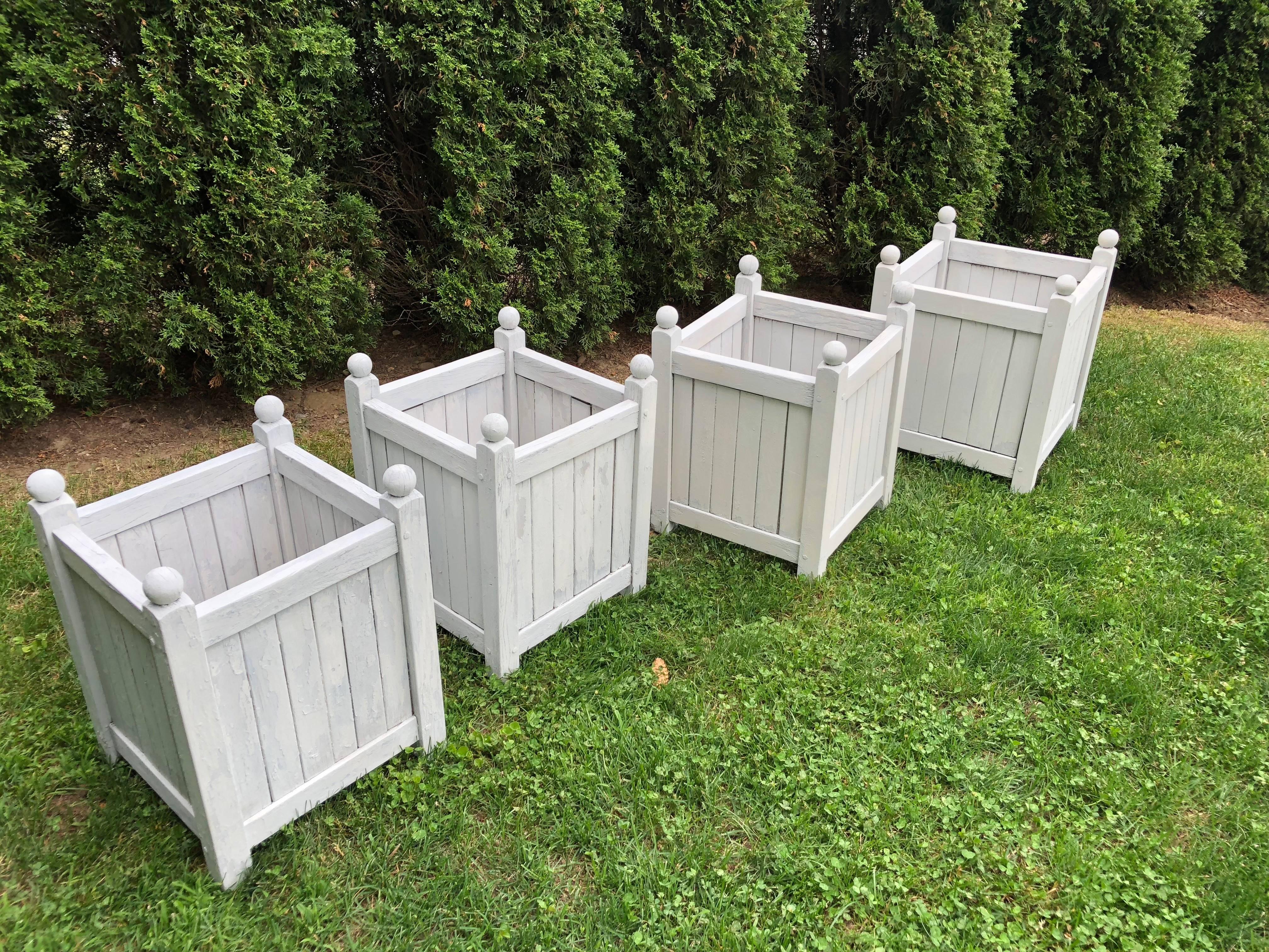 20th Century Near Set of Four French Painted Hardwood Versailles Planters