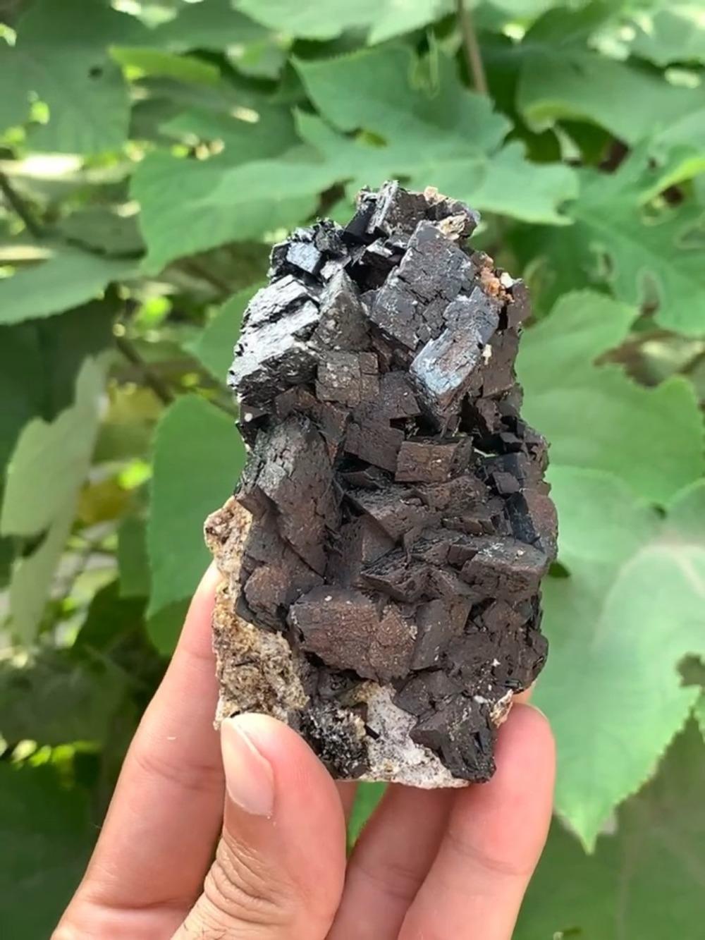 Dim: H: 10 x W: 6 x D: 4 cm
Wt: 206 g

Treatment: None 

Color: Brown 

Specimen Type: Sculptural Specimen of Siderite crystal aggregate on matrix



This is an impressive and sculptural specimen of intergrown Siderite crystal aggregate nicely