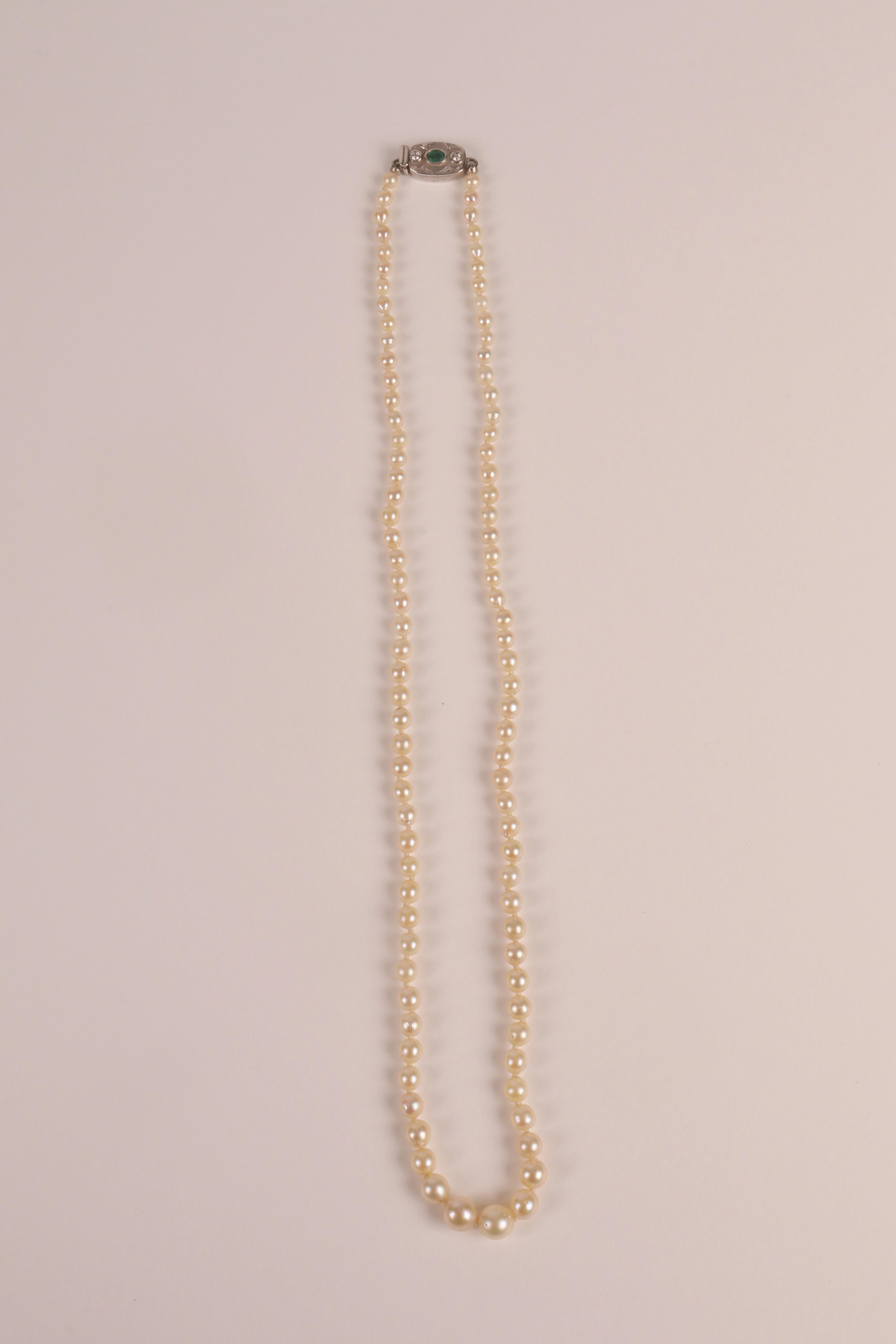 Halskette aus abbaubaren Naturperlen mit Verschluss aus 18 Kt Weißgold, Smaragd und Diamanten.
Die Halskette ist aus natürlichen Perlen mit minimalen Abweichungen in Farbtemperatur und Form gefertigt. Die Schließe ist aus Weißgold mit einem Smaragd
