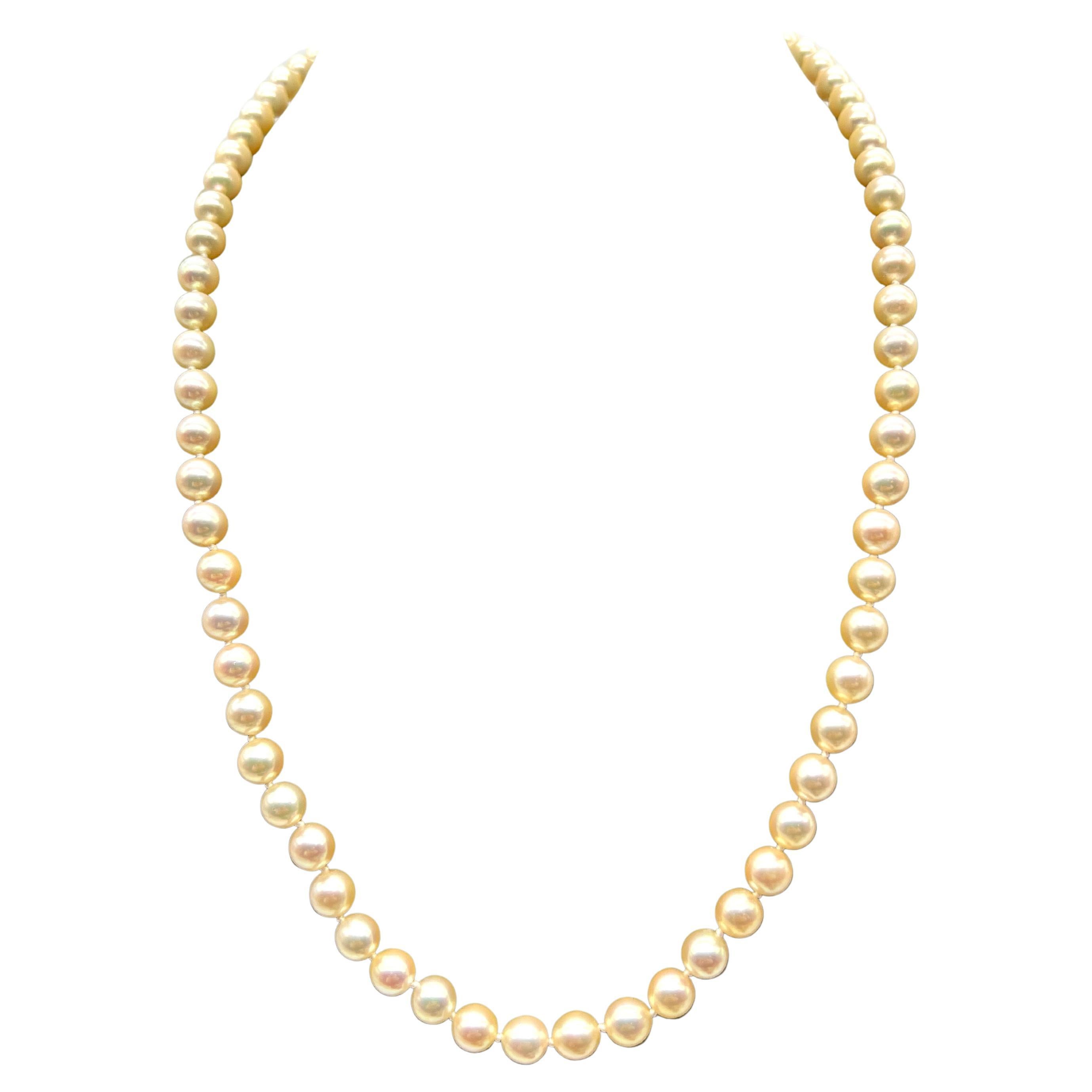 Neckles pearls Akoya Yellow Gold 18 carat