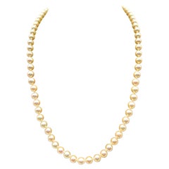Neckles pearls Akoya Yellow Gold 18 carat