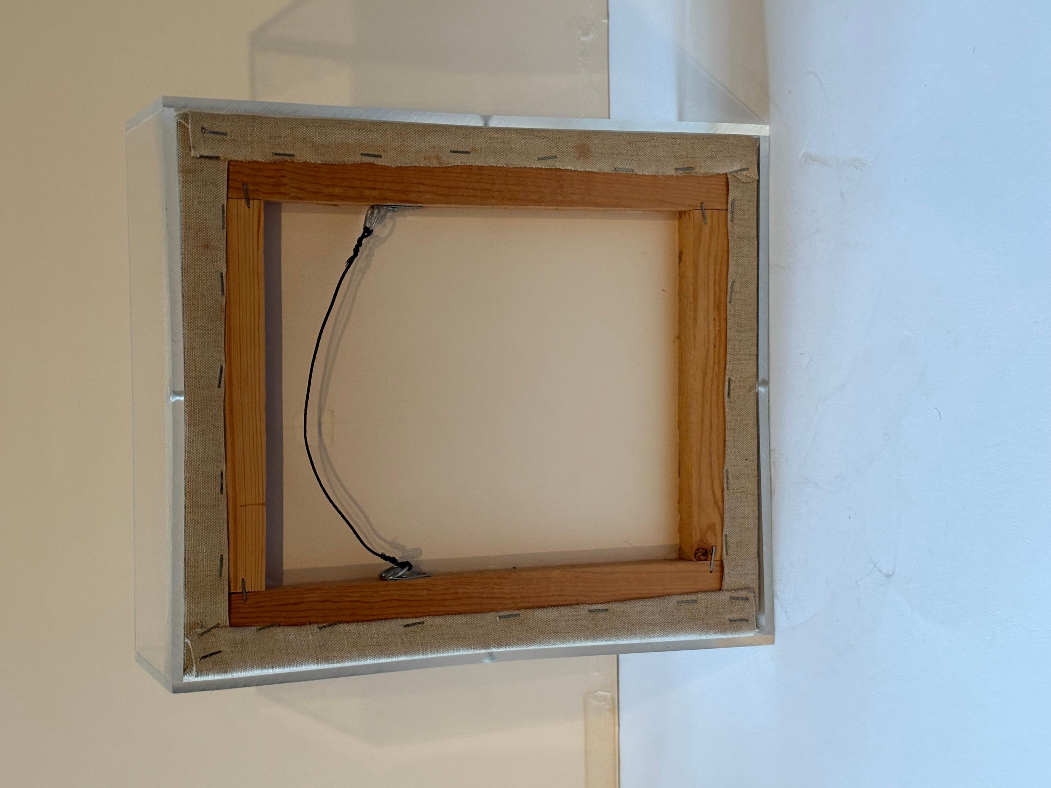 Dies ist eine von Ned Moulton bemalte Plexiglas-Skulptur. In gutem Zustand. Hergestellt in einer Schattenbox. Maße 12x14x6
