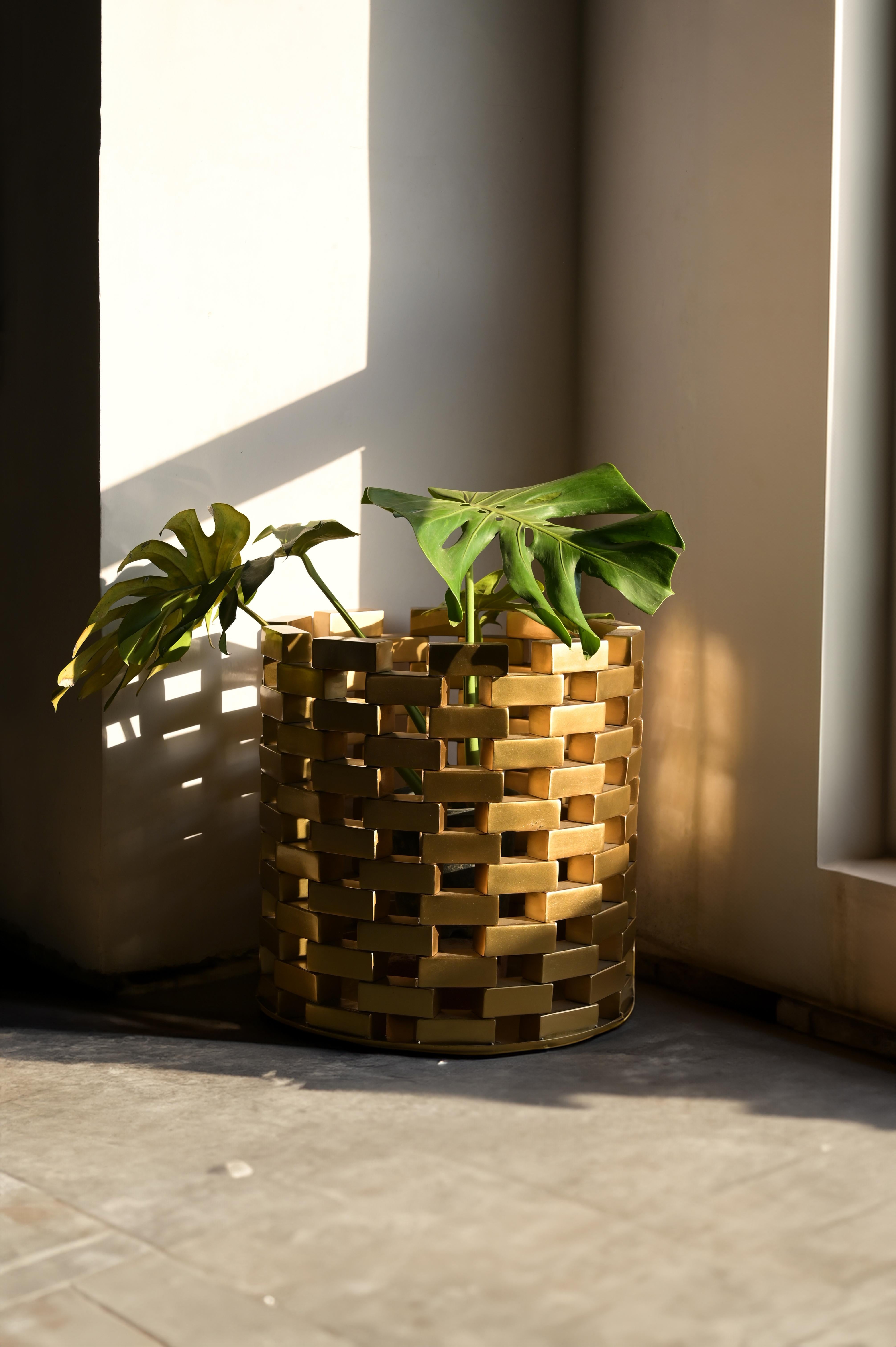 Jardinière Neev par Studio Namit Khanna en vente 5