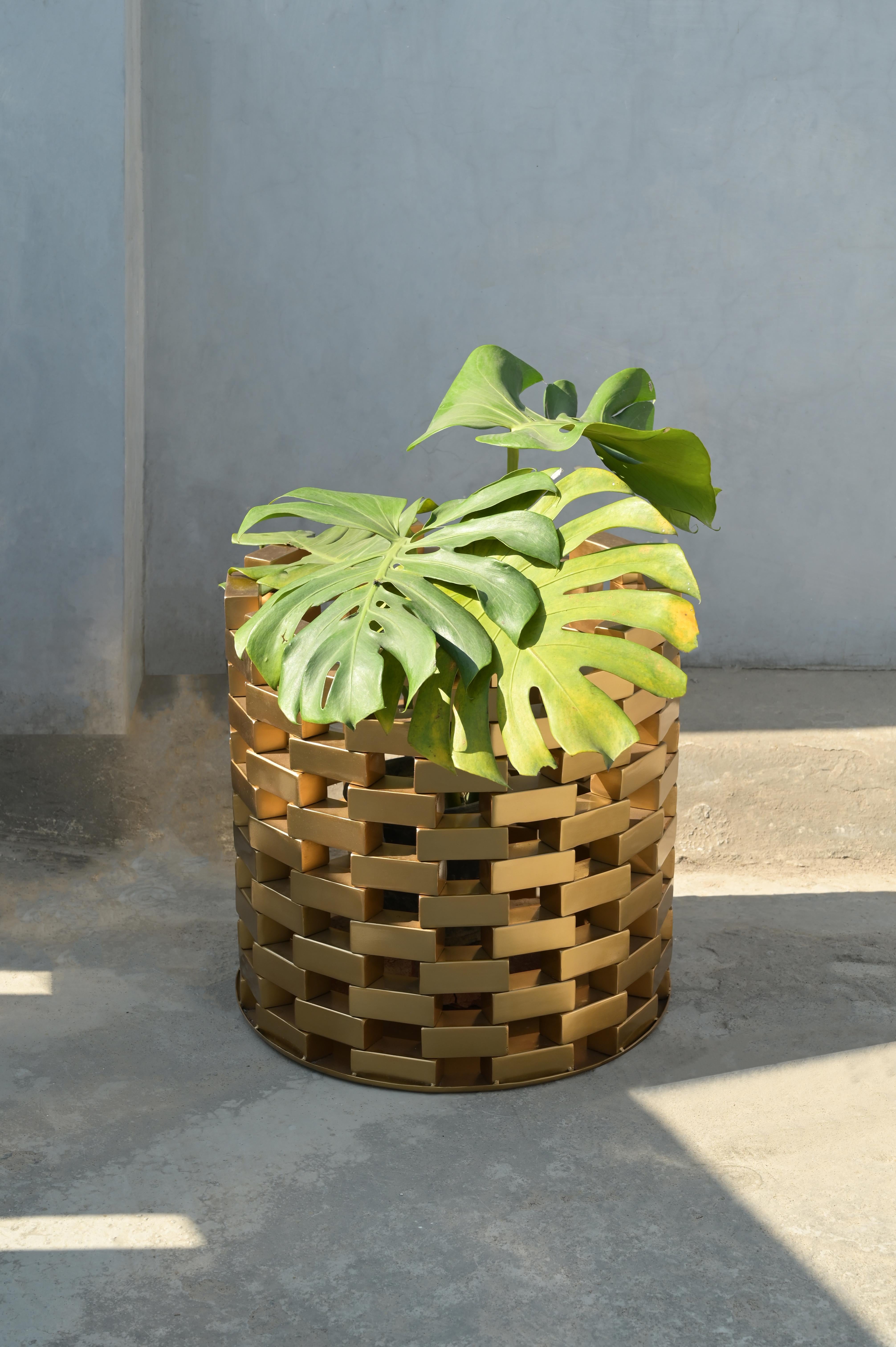Acier inoxydable Jardinière Neev par Studio Namit Khanna en vente