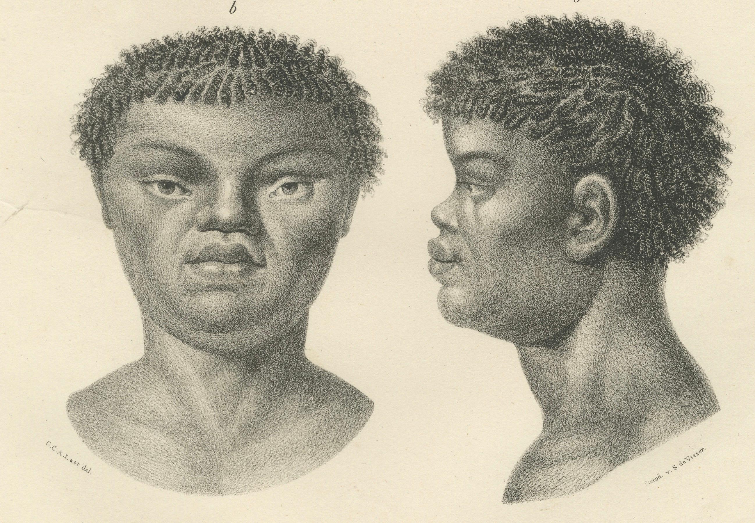 These two lithographs depict individuals of African descent, specifically focusing on the physical characteristics of people of the *Negro* race and the *Bosjesmannen* (Bushmen), as labeled in the prints. Created by the Dutch artist Carel Christiaan