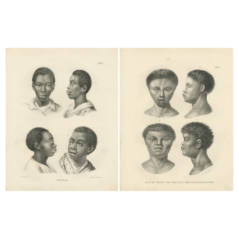 Negro and Bushmen Portraits, Lithographs by C. Last, 1836, Ethnographic Studies