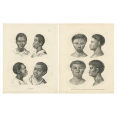 Negro and Bushmen Portraits, Lithographs by C. Last, 1836, Ethnographic Studies