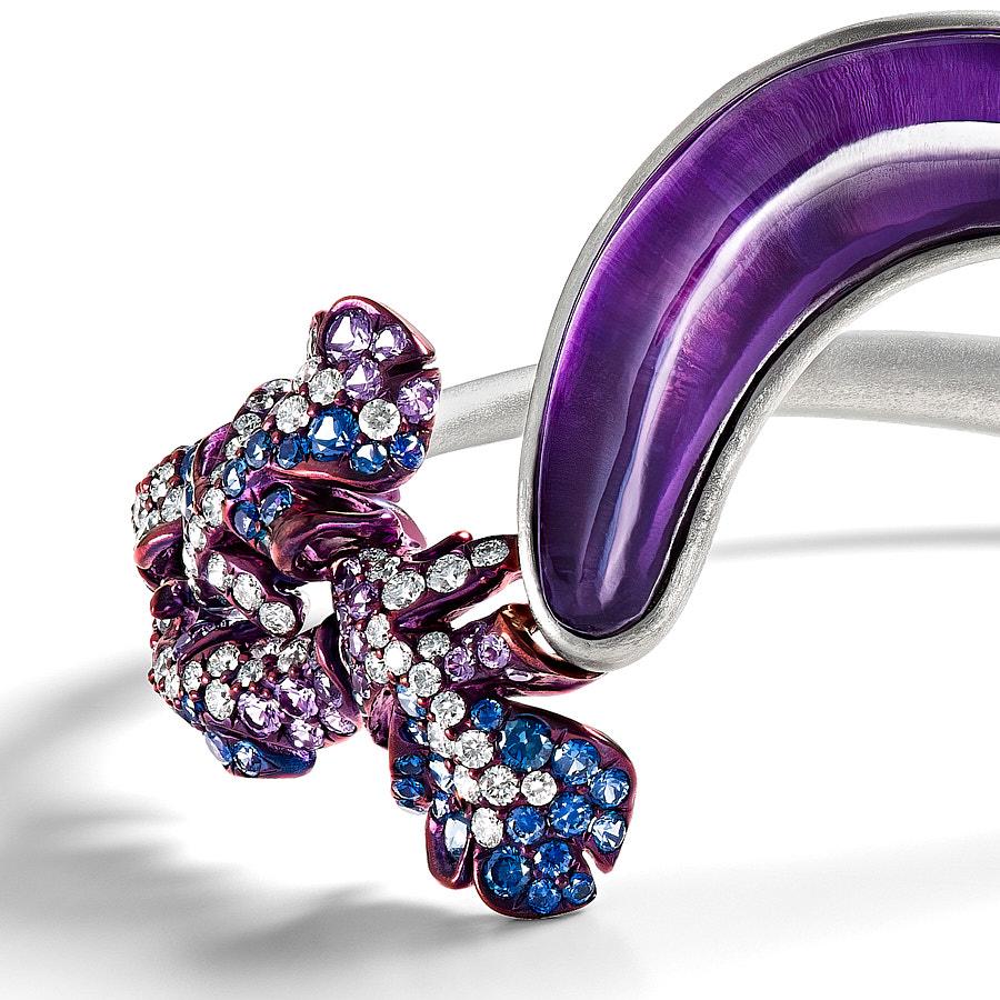 delhi purple sapphire
