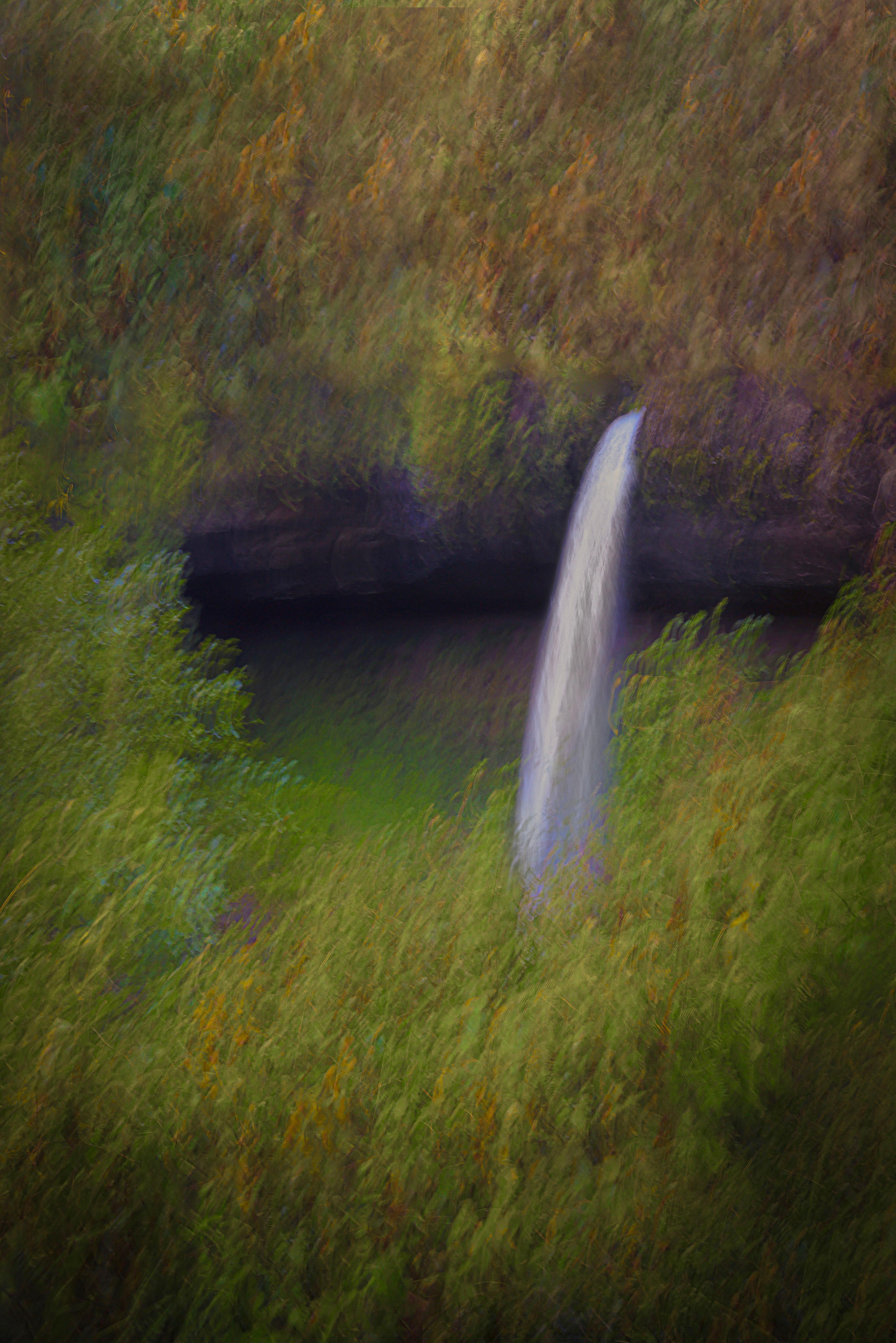 Neil Shapiro Landscape Photograph - Waterfall in Oregon