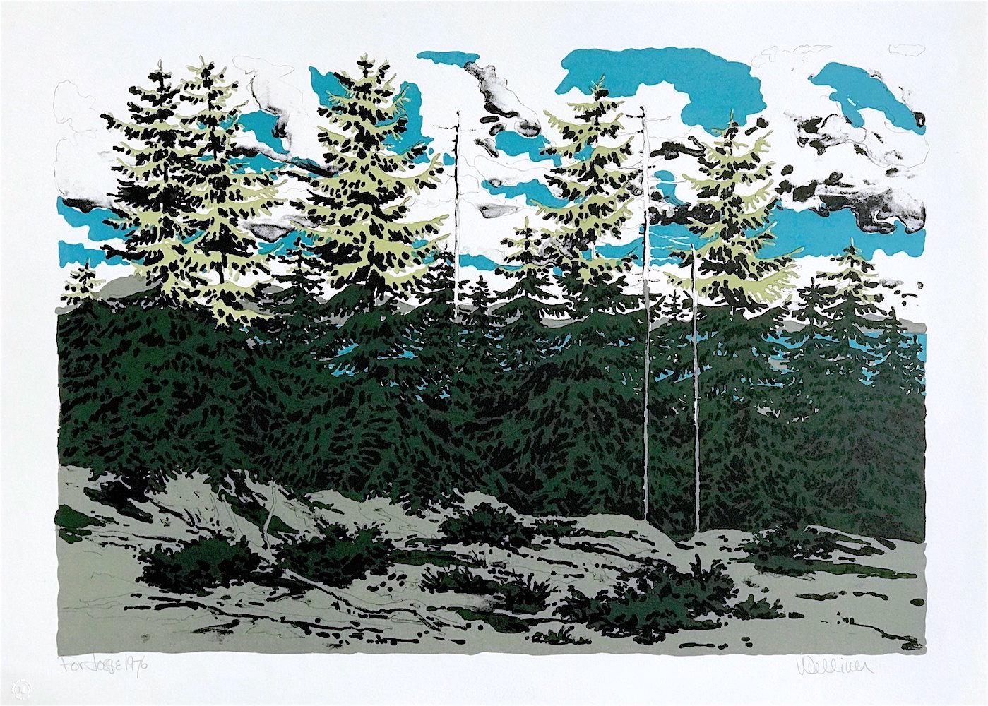FROM ZEKE'S PLACE Signed Lithograph, Maine Landscape, Trees, Aqua, Green, Gray