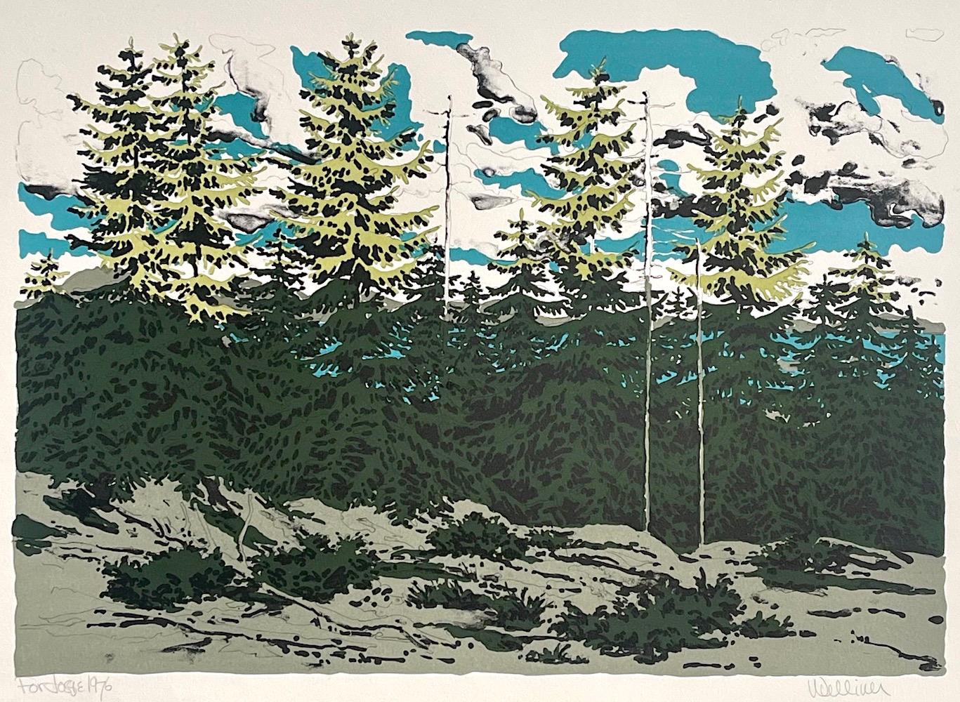 Print Neil Welliver - Lithographie signée FROM ZEKE'S PLACE, paysage du Maine, arbres de pin, nuages de ciel bleu