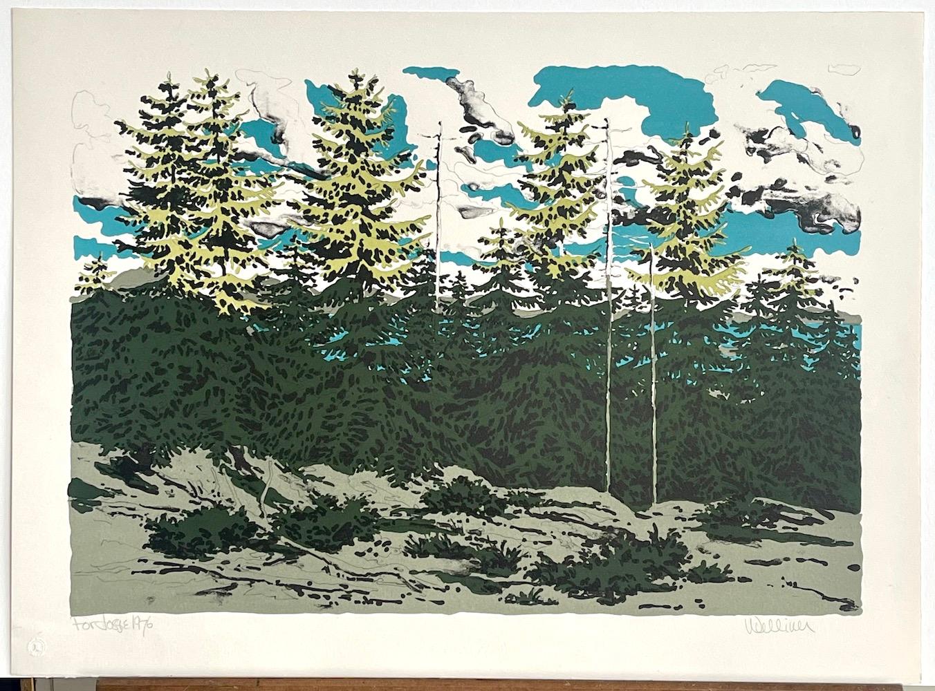 Lithographie signée FROM ZEKE'S PLACE, paysage du Maine, arbres de pin, nuages de ciel bleu en vente 1