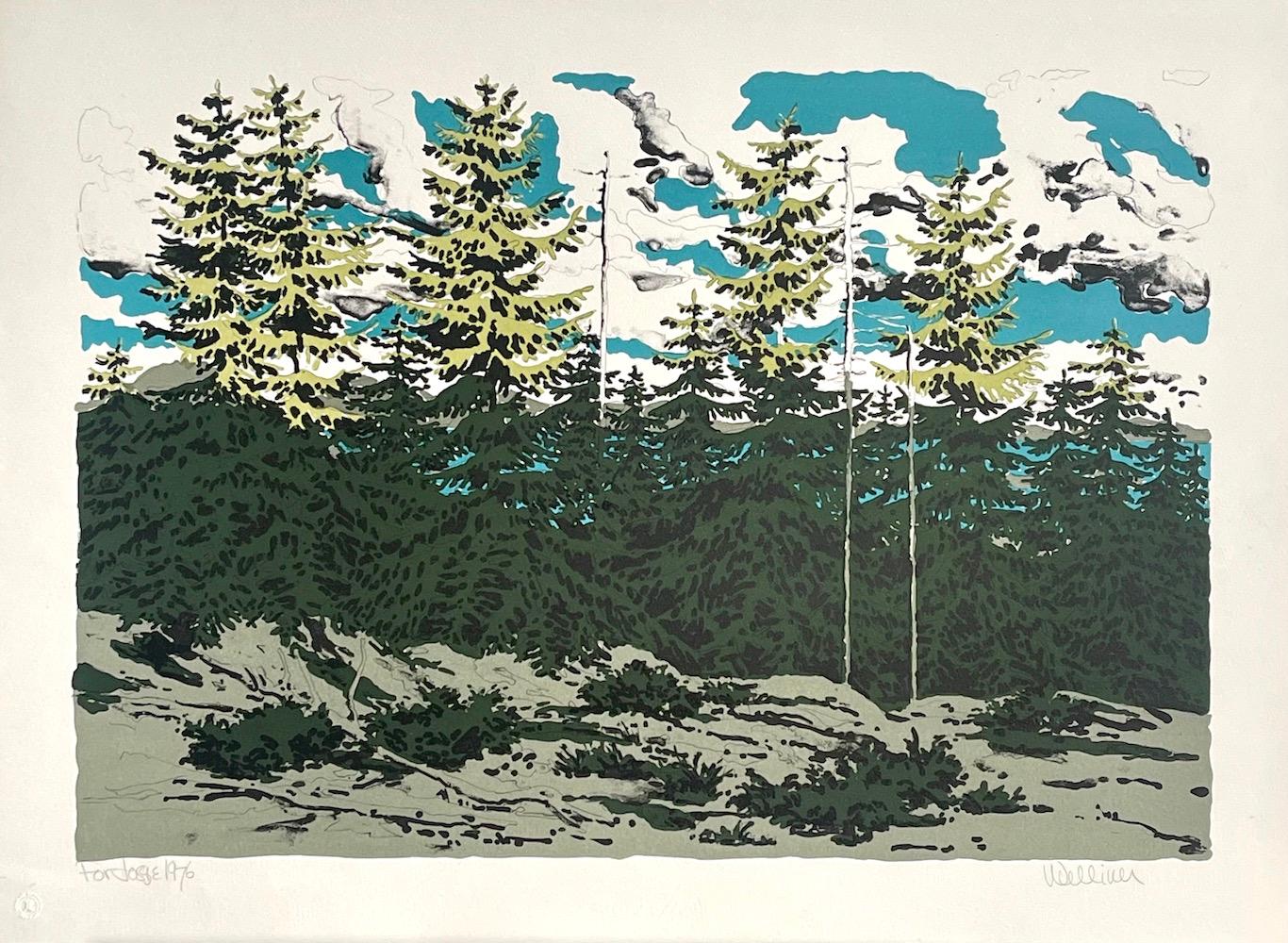 Lithographie signée FROM ZEKE'S PLACE, paysage du Maine, arbres de pin, nuages de ciel bleu - Print de Neil Welliver