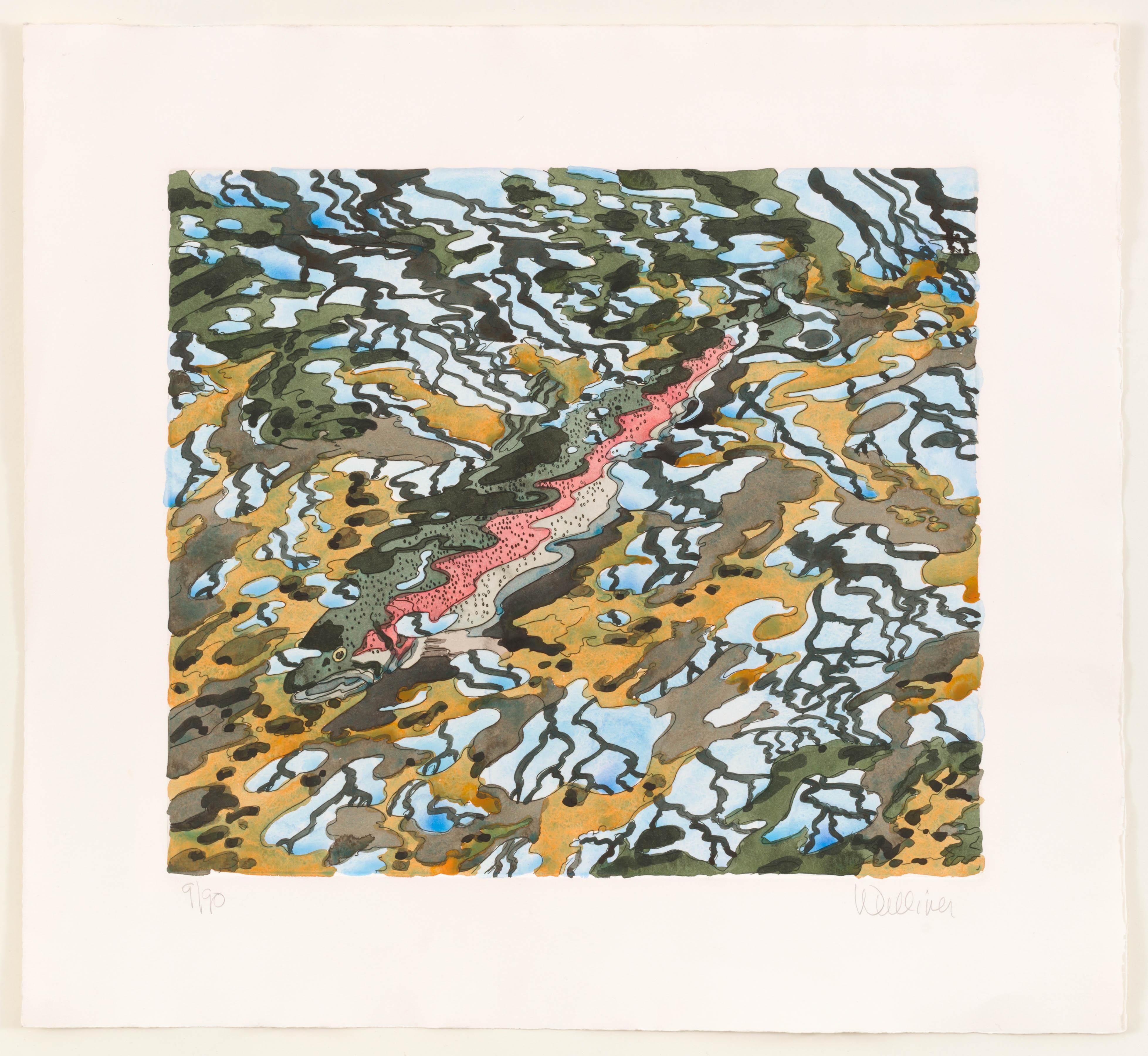 Neil Welliver Landscape Print - Trout and Reflected Tree