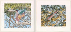 Trout et canard d'arbre et de bois réfléchi (2 tirages)