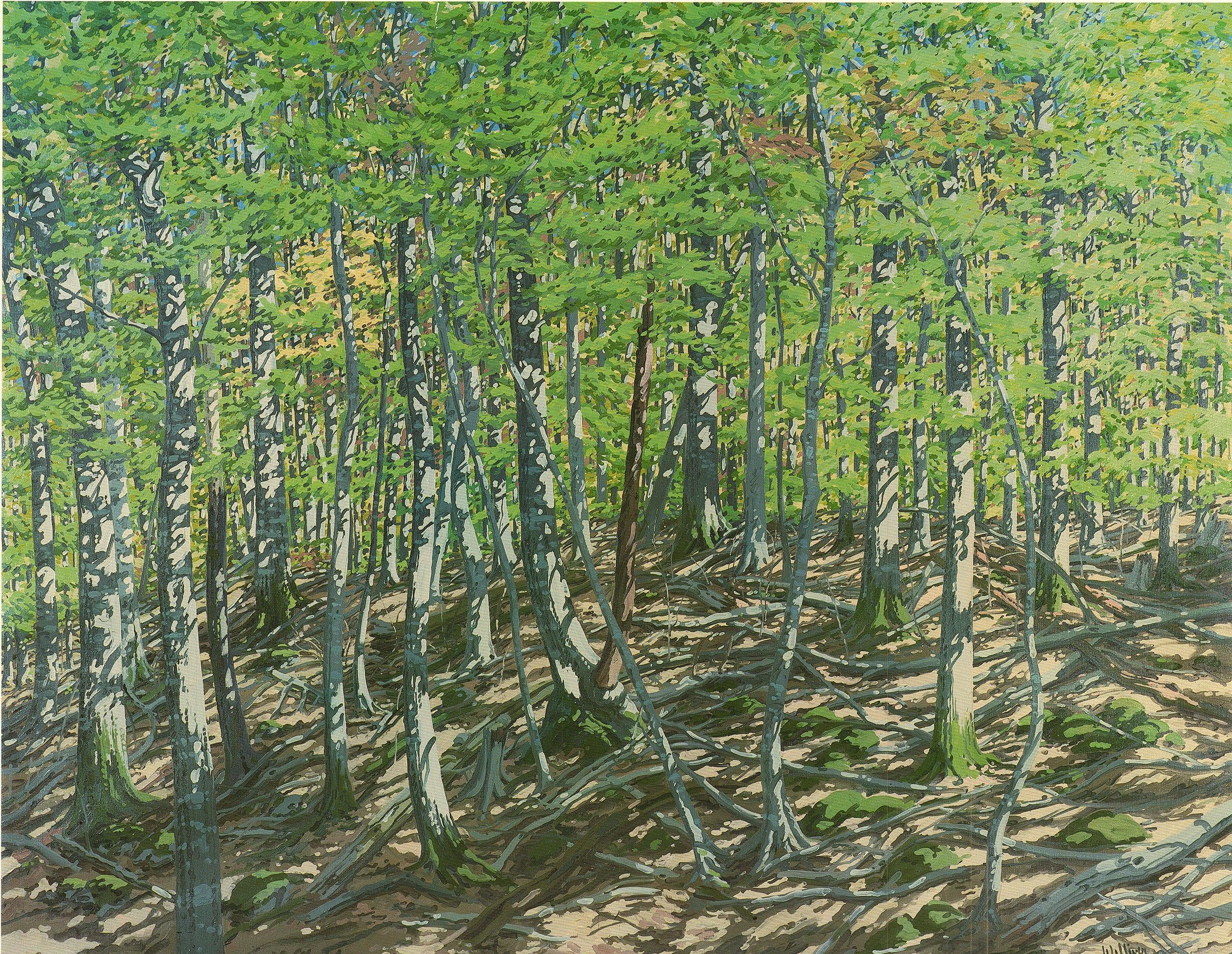 Ladera Oeste - Landscape Print Blanco de Neil Welliver