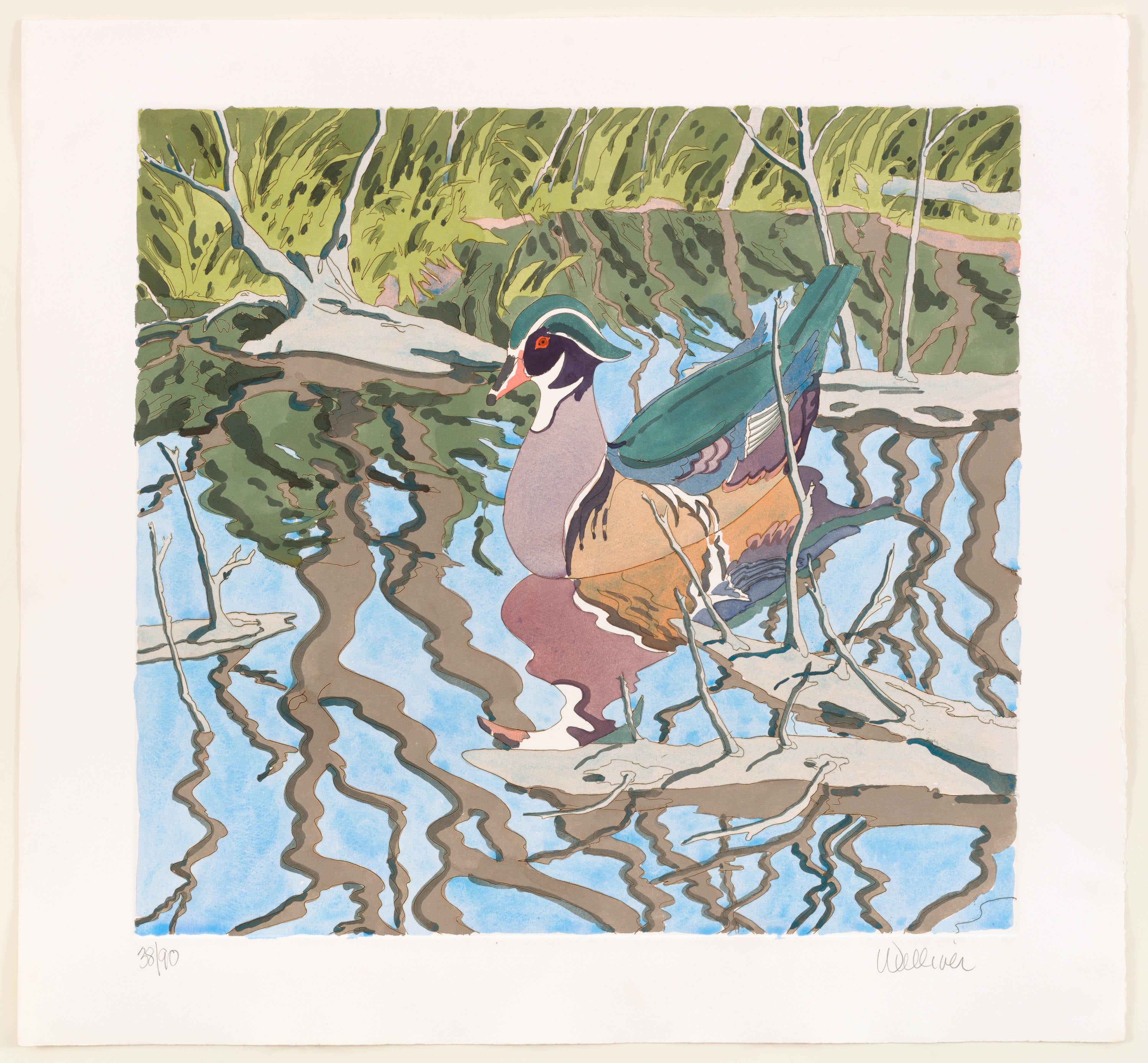 Neil Welliver Landscape Print - Wood Duck