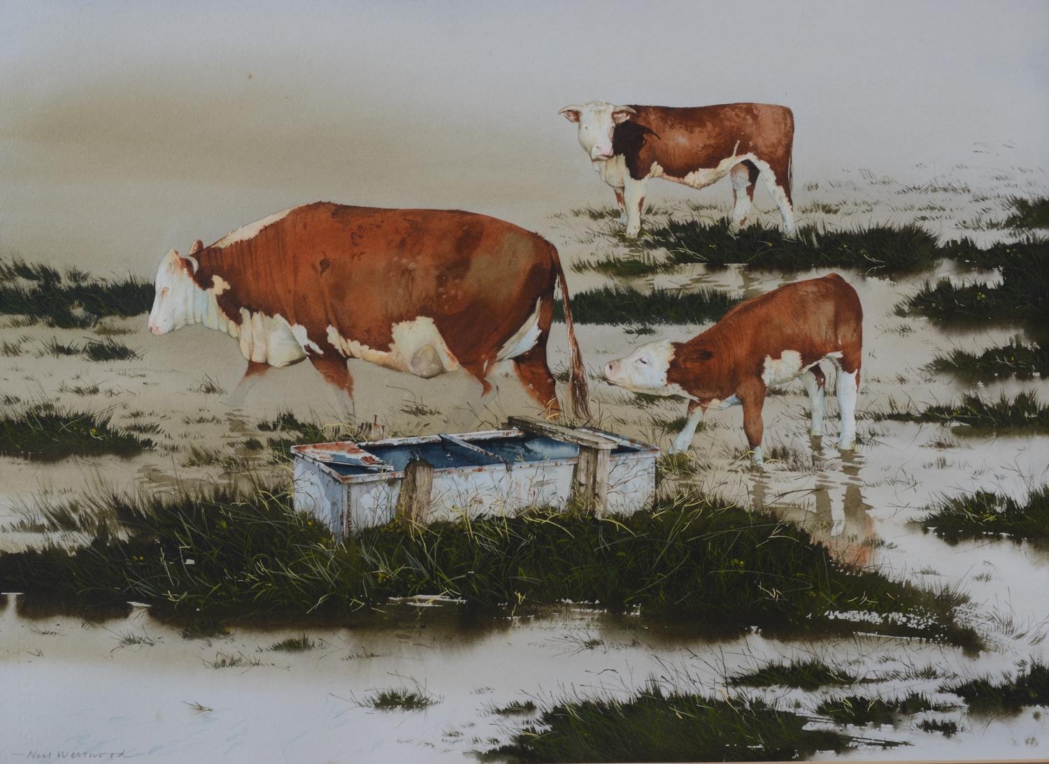 Bovins Hereford, vaches s'abreuvant dans un pré Grande aquarelle contemporaine encadrée