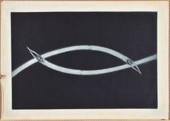 Cambia. Papel, aguafuerte, 39,5x59 cm