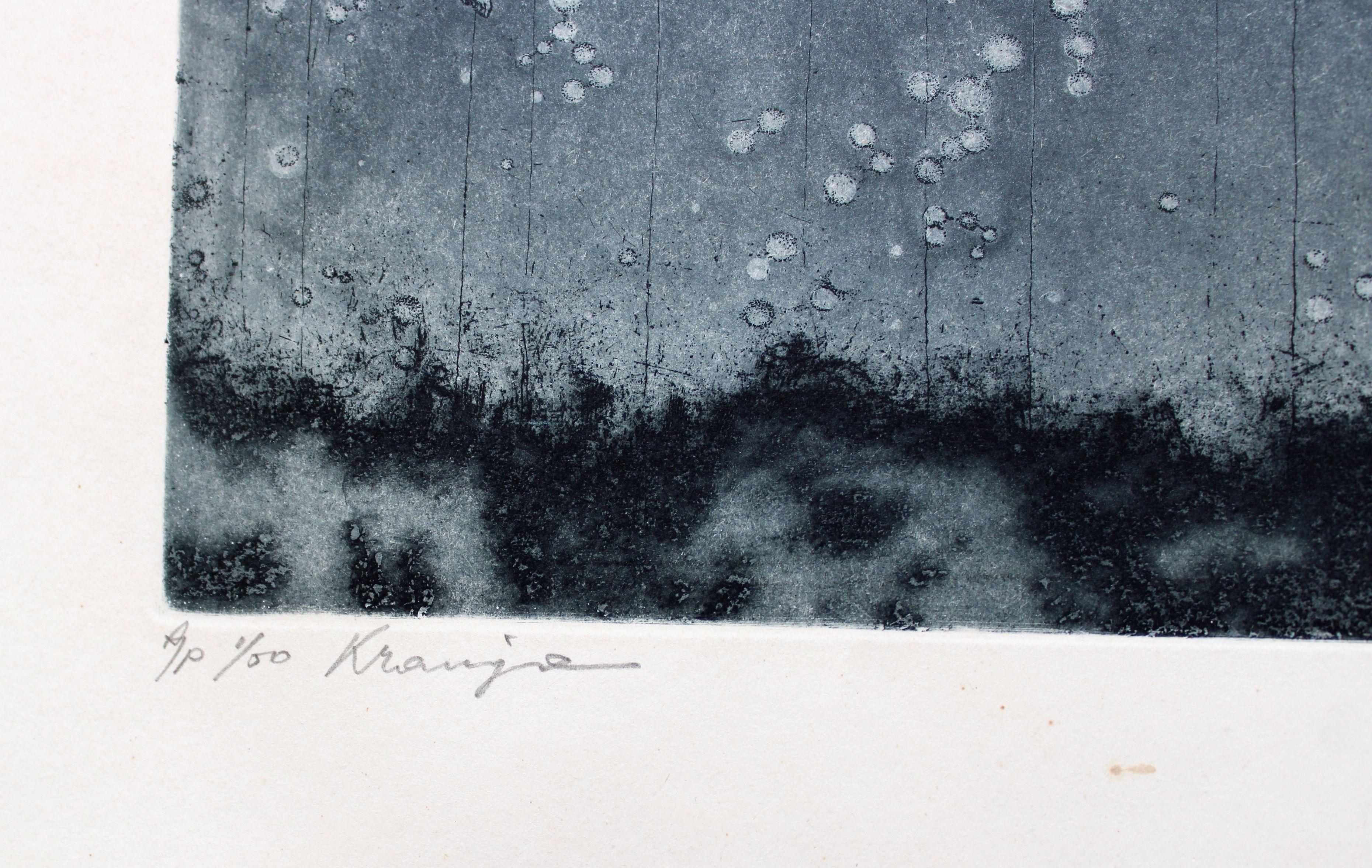 Sur le bord  2010. 1/50. A/P. Papier, eau-forte, aquatinte en vente 2