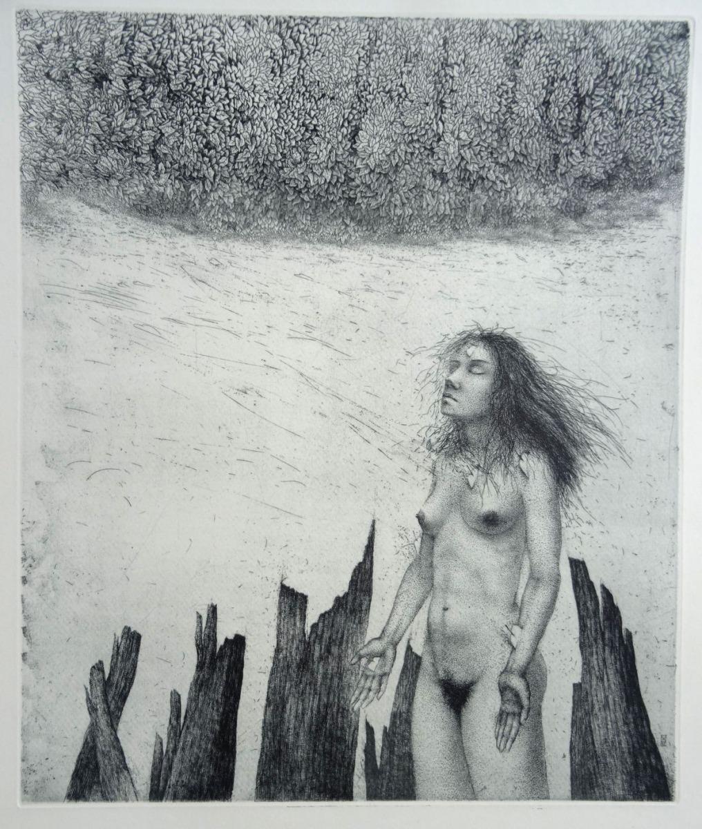 Origine  Papier, gravure, 42x36 cm - Mixed Media Art de Nele Zirnite