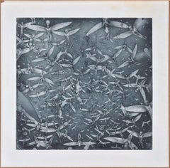 Porioheresis. 2004. Paper, etching, 49.5x51.5 cm