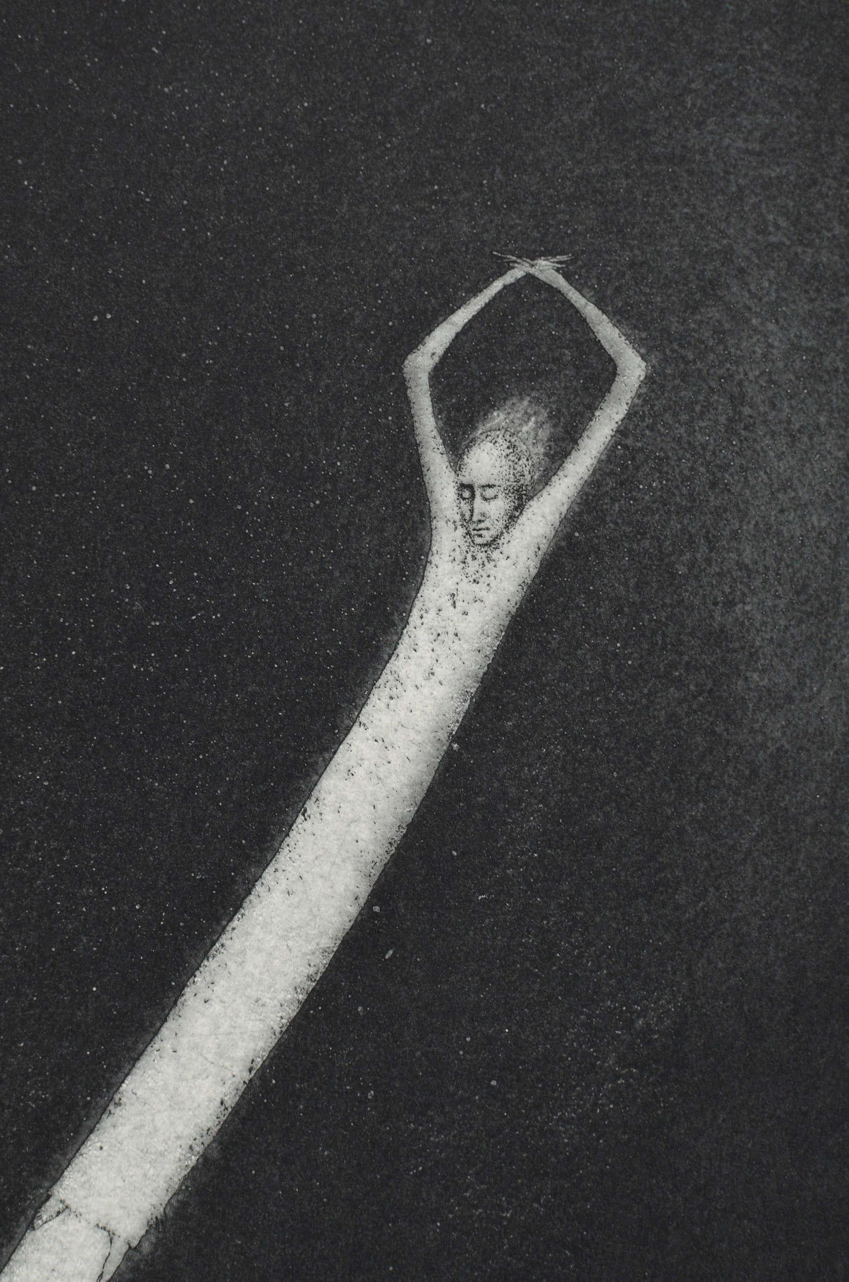 Scissors. 1995. Paper, etching. 41.5x59 cm For Sale 1