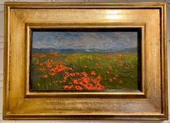 The Poppy Field at Torre del Lago - 05.26.2012