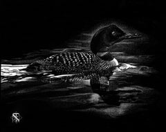„Boundary Waters“ (2018) von Nelson Tucker, Swimming Duck