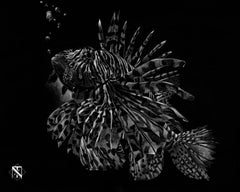 « Lion Fish » (2019) de Nelson Tucker, Lion Fish Swimming
