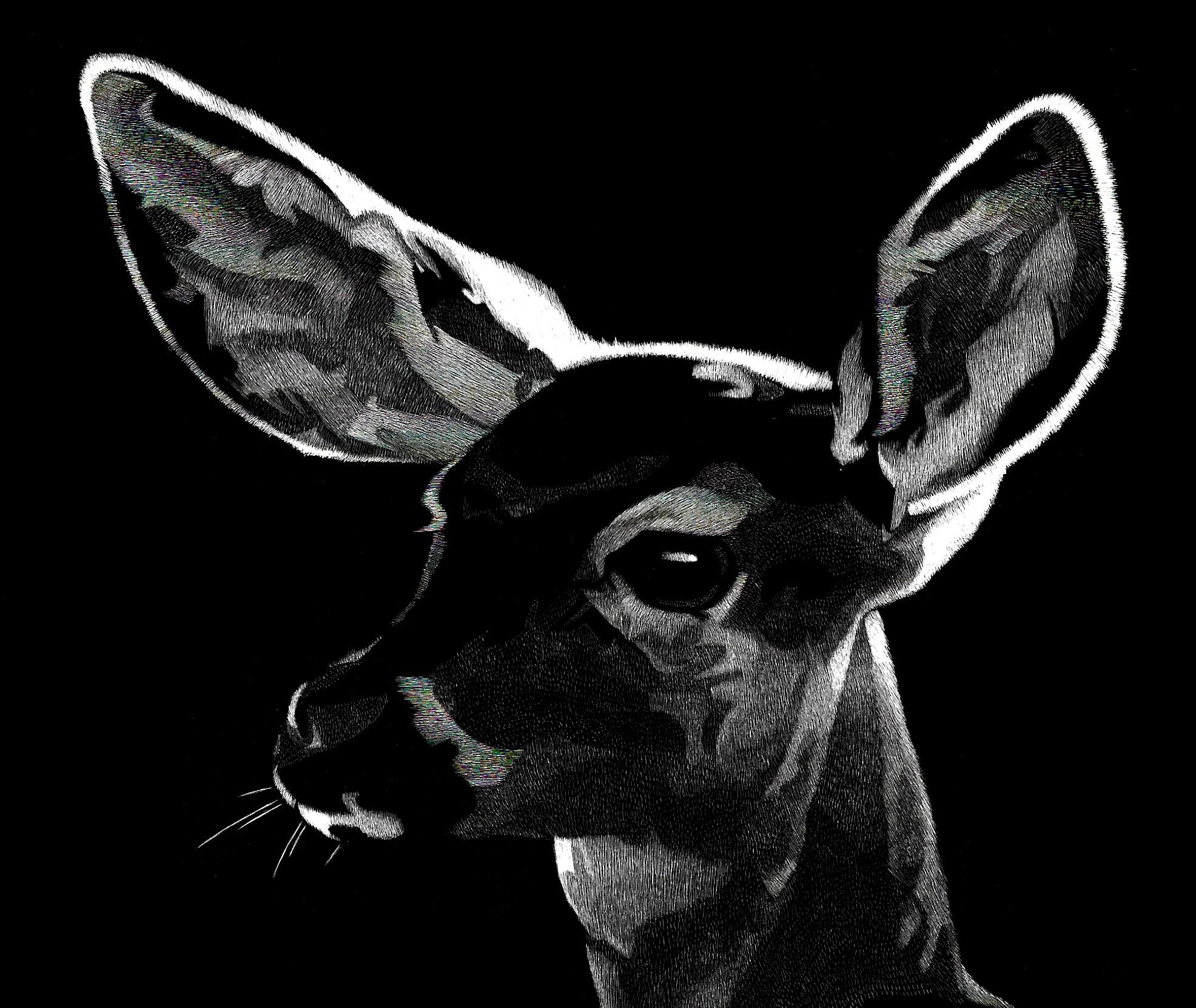 « Multi Deer Fawn n°1 » (2023) de Nelson Tucker, portrait de cerf 3