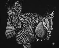 "Pollo della prateria" (2017) di Nelson Tucker, Ritratto di pollo