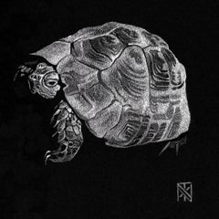 "Slow Motion" (2020) di Nelson Tucker, Ritratto di tartaruga