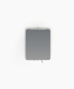 Nemo Applique à Volet Pivotant Wall Scone R7S Natural Anodized