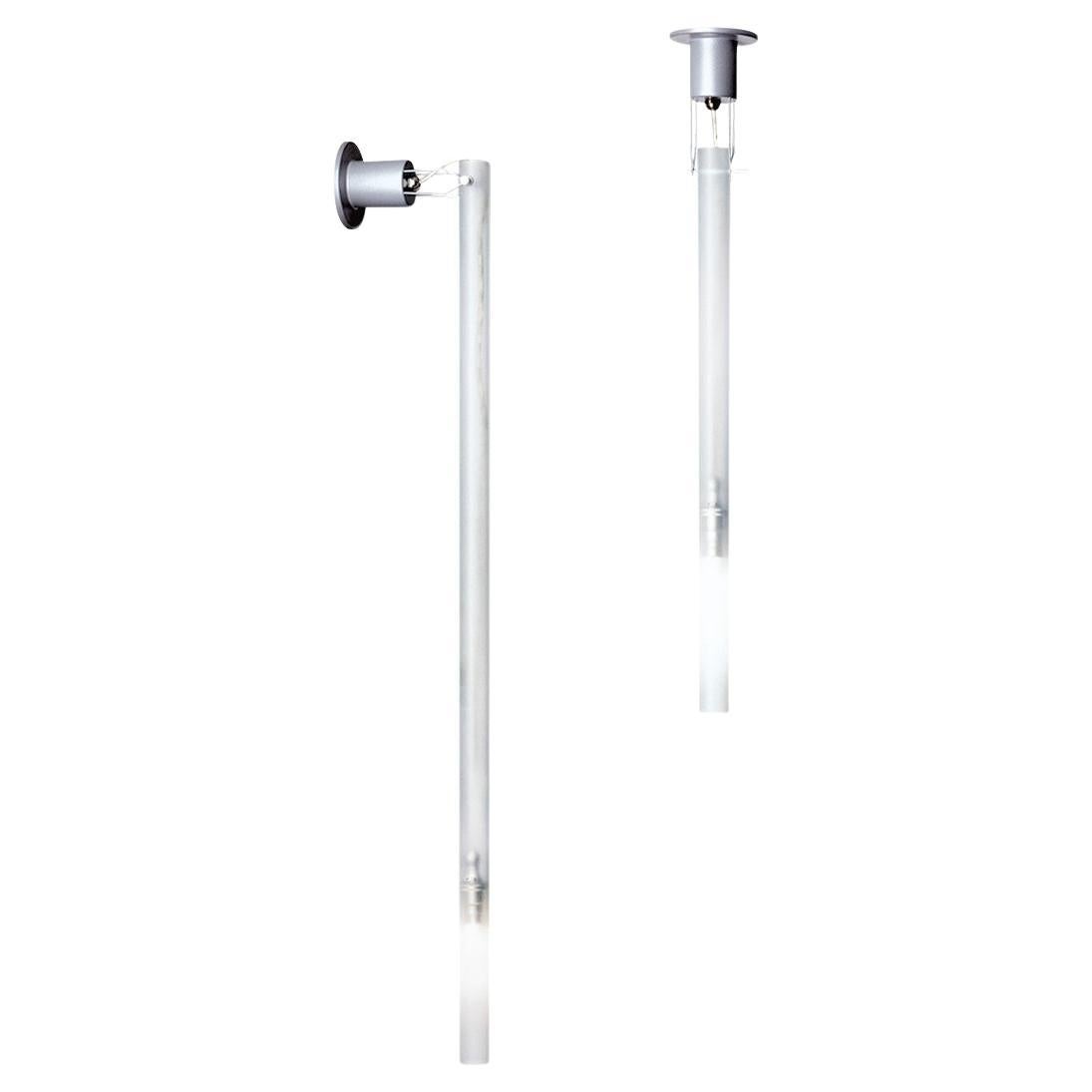 Nemo Canna Nuda Ceiling Light in Glass Satin Nickel 75cm G9 LED/HALO