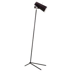 Floor Lamps