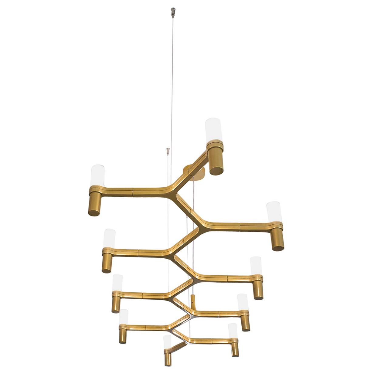 For Sale: Gold (Gold Painted) Nemo Crown Plana Linea Dimmable Pendant Chandeliers by Jehs + Laub